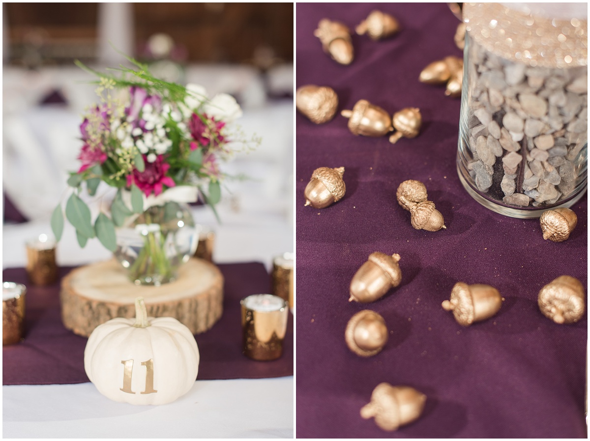 a_purple_and_gold_fall_lakefield_wedding_photographer_0059
