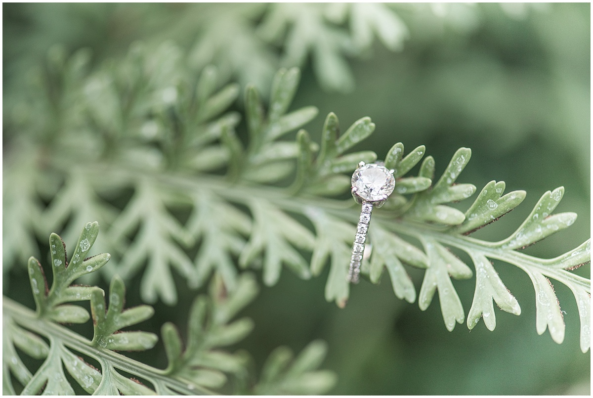 a_classic_longwood_gardens_engagement_kelsey_renee_photography_0005