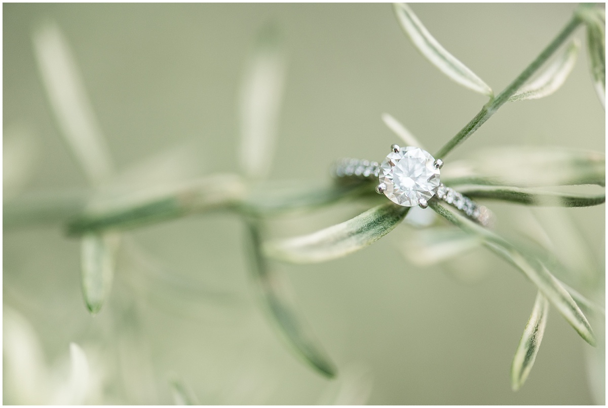 a_classic_longwood_gardens_engagement_kelsey_renee_photography_0016