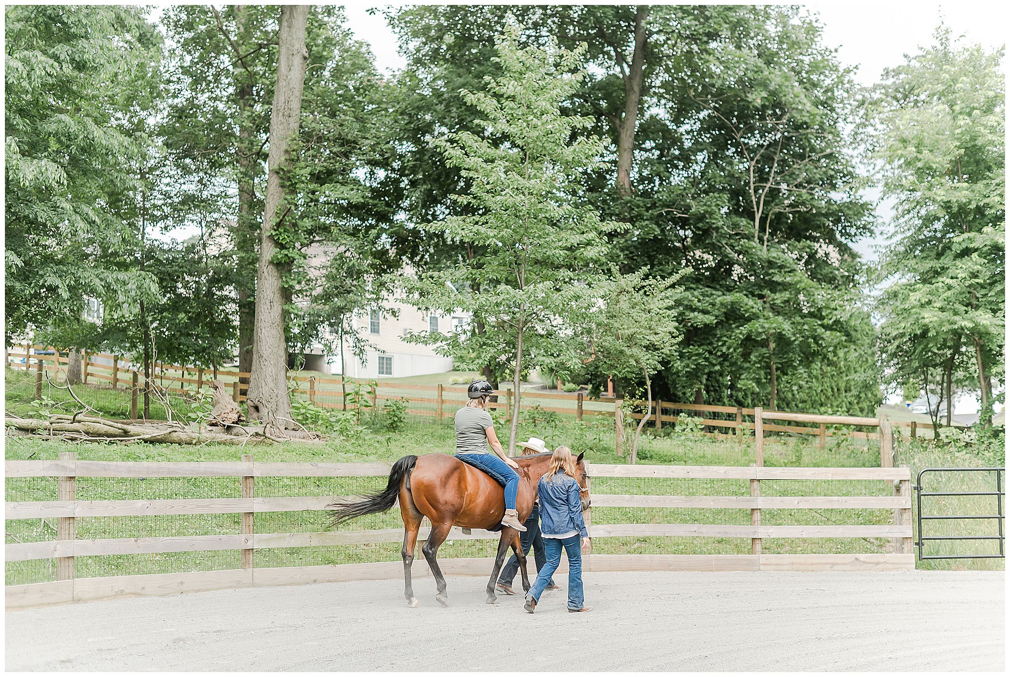 Equine Therapy | Equine Therapy Branding Session | Beacon Meadow Farms | Equine Therapy Session in PA