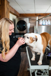 woman working on a dog in her salon during a pet groomer branding session
